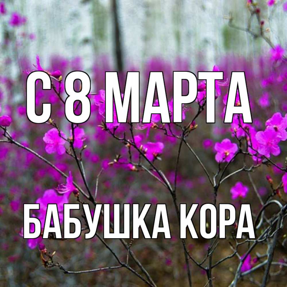 Открытка на каждый день с именем, Бабушка-Кора С 8 марта дикие цветы Прикольная открытка с пожеланием онлайн скачать бесплатно 