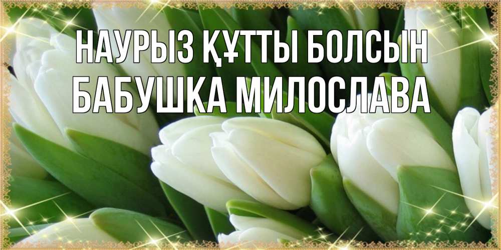 Открытка на каждый день с именем, Бабушка-Милослава Наурыз құтты болсын поздравляем с наурызом Прикольная открытка с пожеланием онлайн скачать бесплатно 
