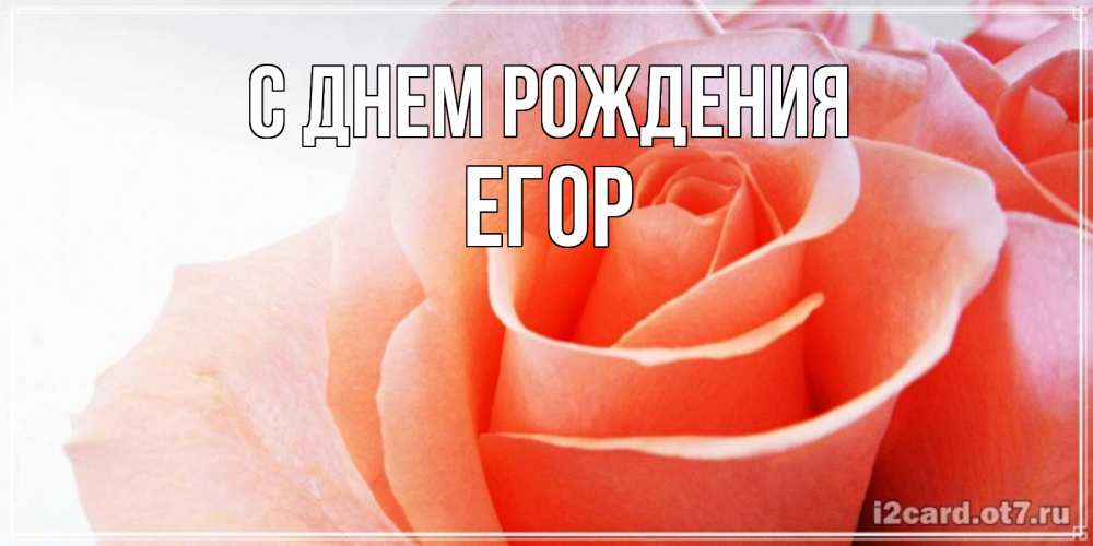 Открытка на каждый день с именем, Егор С днем рождения розы для поздравления с днем рождения Прикольная открытка с пожеланием онлайн скачать бесплатно 