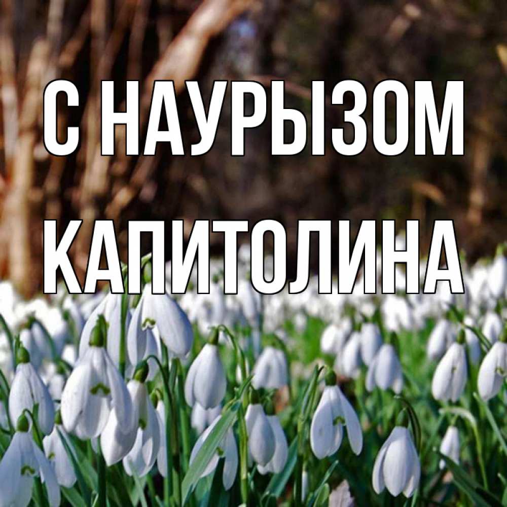 Открытка на каждый день с именем, Капитолина С наурызом с подснежниками 1 Прикольная открытка с пожеланием онлайн скачать бесплатно 