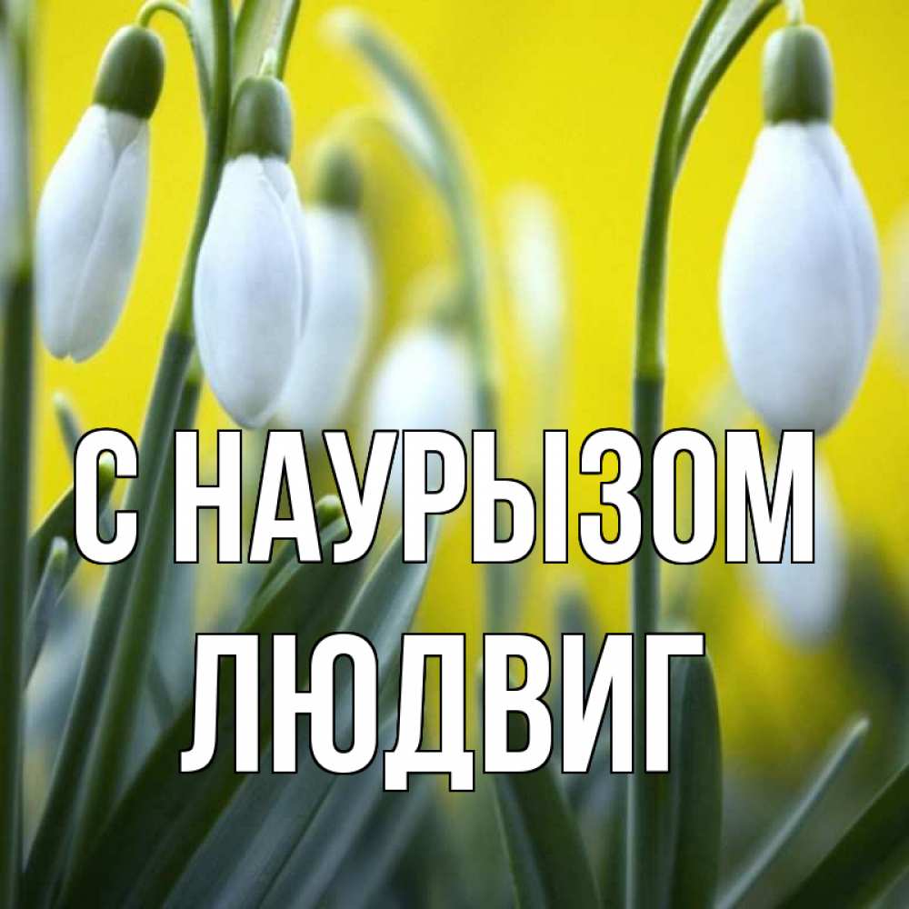Открытка на каждый день с именем, Людвиг С наурызом весенние цветы Прикольная открытка с пожеланием онлайн скачать бесплатно 