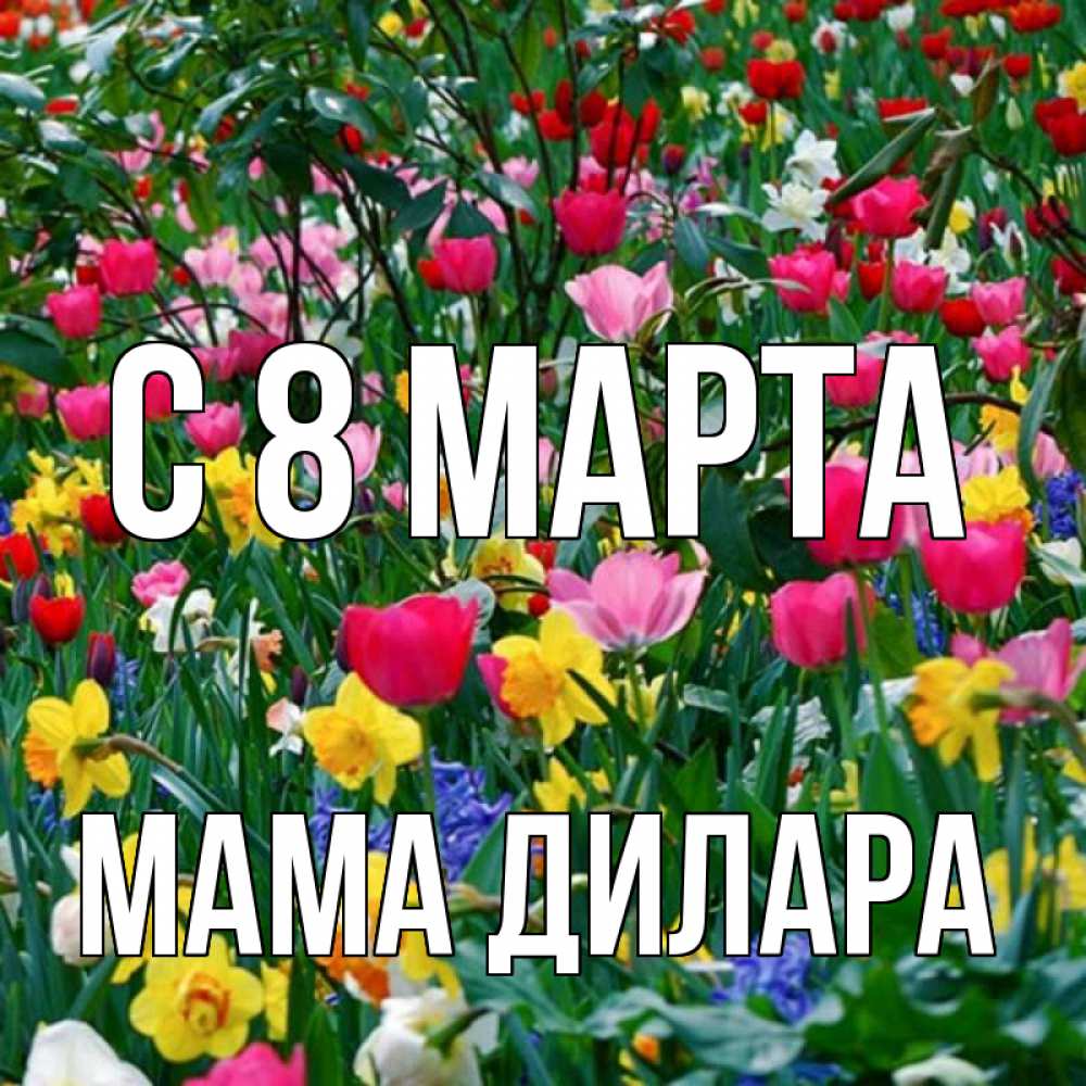 Открытка на каждый день с именем, Мама-Дилара С 8 МАРТА с международным женским днем поздравления для женщины Прикольная открытка с пожеланием онлайн скачать бесплатно 