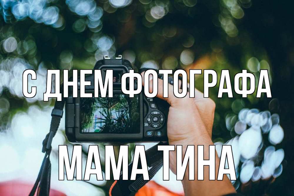 Открытка на каждый день с именем, Мама-Тина С днем фотографа с днем фотографа Прикольная открытка с пожеланием онлайн скачать бесплатно 