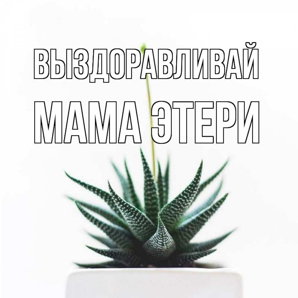 Открытка на каждый день с именем, Мама-Этери Выздоравливай короче это непонятная колючка Прикольная открытка с пожеланием онлайн скачать бесплатно 