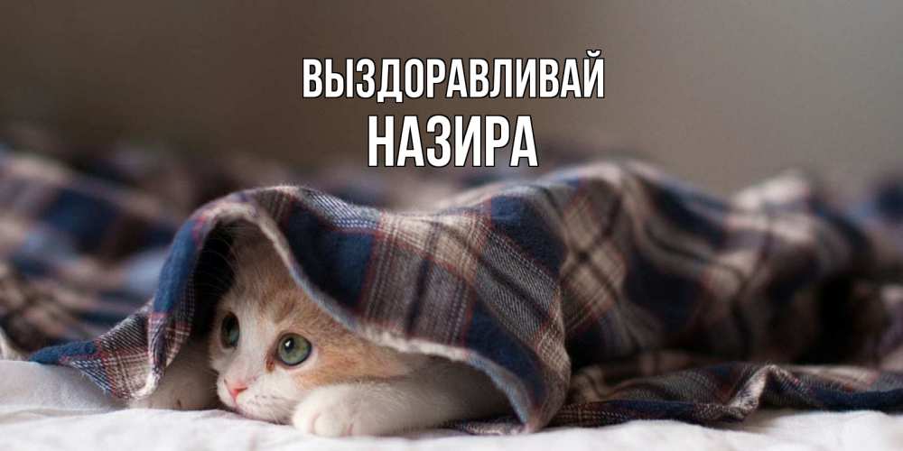 Открытка на каждый день с именем, Назира Выздоравливай не болейте с котиком Прикольная открытка с пожеланием онлайн скачать бесплатно 