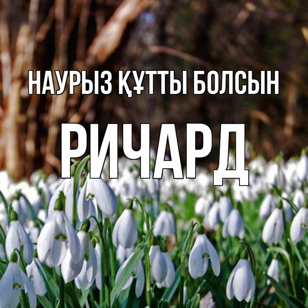 Открытка на каждый день с именем, Ричард Наурыз құтты болсын с подснежниками 1 Прикольная открытка с пожеланием онлайн скачать бесплатно 