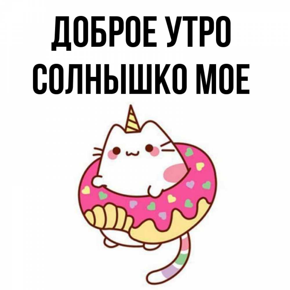 Открытка на каждый день с именем, СОЛНЫШКО-МОЕ Доброе утро кот в бублике Прикольная открытка с пожеланием онлайн скачать бесплатно 
