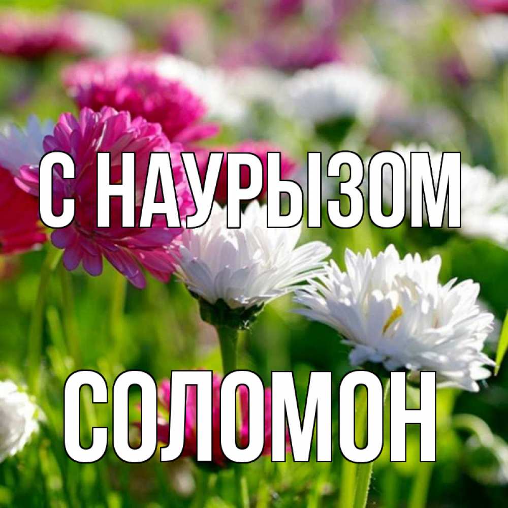 Открытка на каждый день с именем, Соломон С наурызом праздник весны наурыз красота Прикольная открытка с пожеланием онлайн скачать бесплатно 