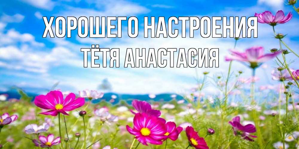 Открытка на каждый день с именем, Тётя-Анастасия Хорошего настроения поле цветов Прикольная открытка с пожеланием онлайн скачать бесплатно 