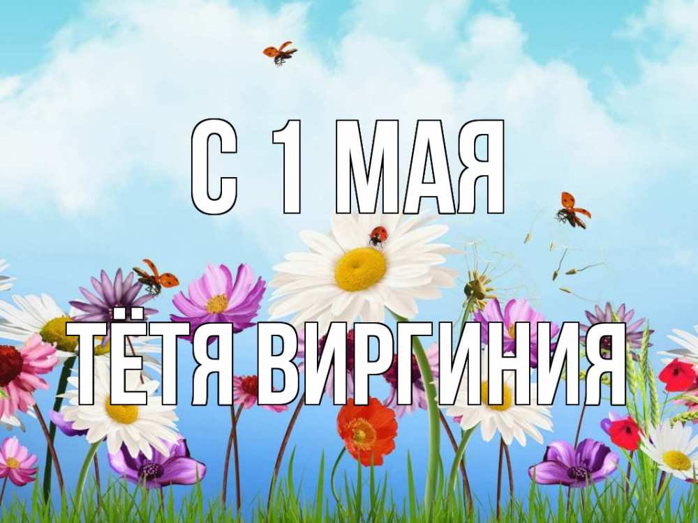 Открытка на каждый день с именем, Тётя-Виргиния С 1 мая С 1 мая Прикольная открытка с пожеланием онлайн скачать бесплатно 