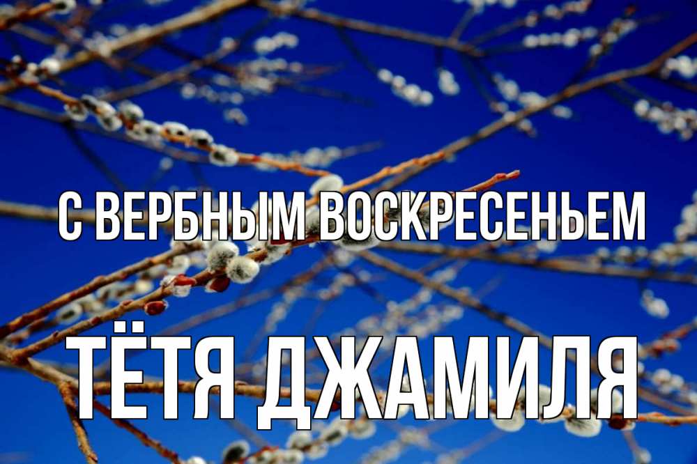 Открытка на каждый день с именем, Тётя-Джамиля С вербным воскресеньем верба Прикольная открытка с пожеланием онлайн скачать бесплатно 