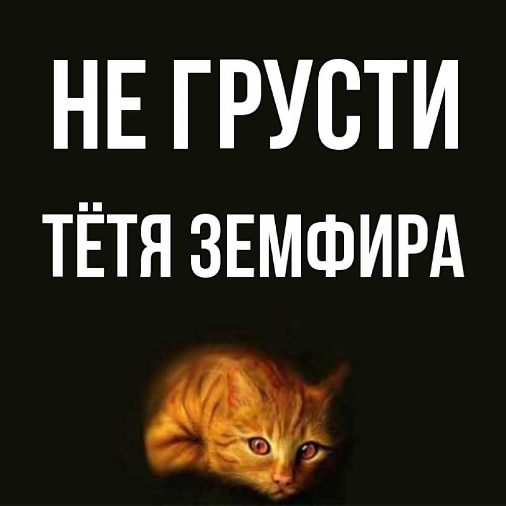 Открытка на каждый день с именем, Тётя-Земфира Не грусти лежащий кот в темноте Прикольная открытка с пожеланием онлайн скачать бесплатно 
