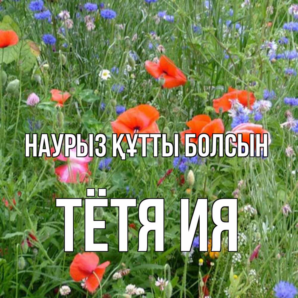 Открытка на каждый день с именем, Тётя-Ия Наурыз құтты болсын наурыз  4 Прикольная открытка с пожеланием онлайн скачать бесплатно 