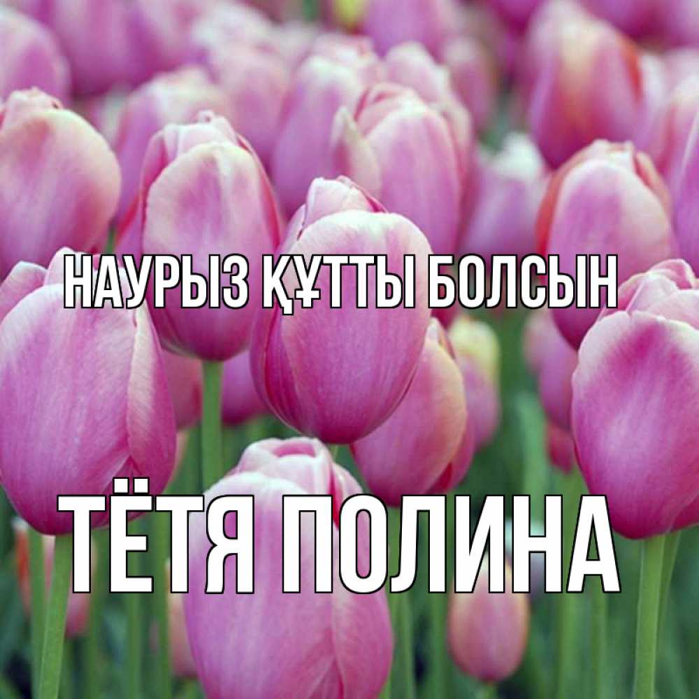 Открытка на каждый день с именем, Тётя-Полина Наурыз құтты болсын на наурыз  день 3 Прикольная открытка с пожеланием онлайн скачать бесплатно 