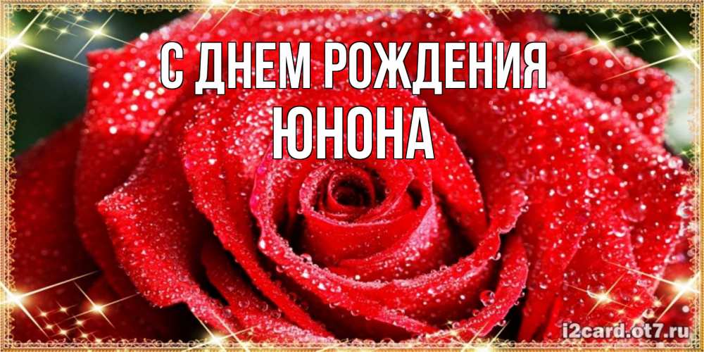 Открытка на каждый день с именем, Юнона С днем рождения роса и роза. открытка с красивой розой Прикольная открытка с пожеланием онлайн скачать бесплатно 