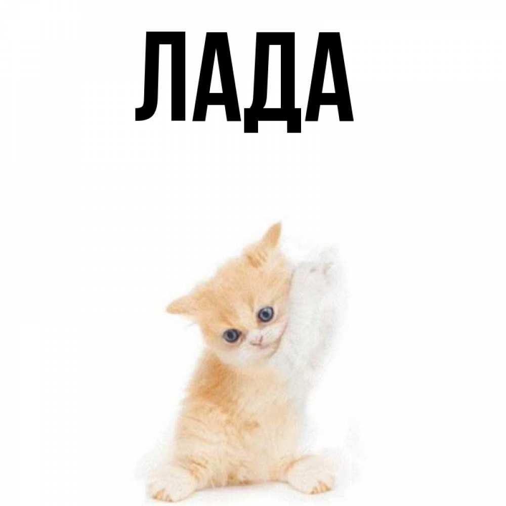 Лад имя