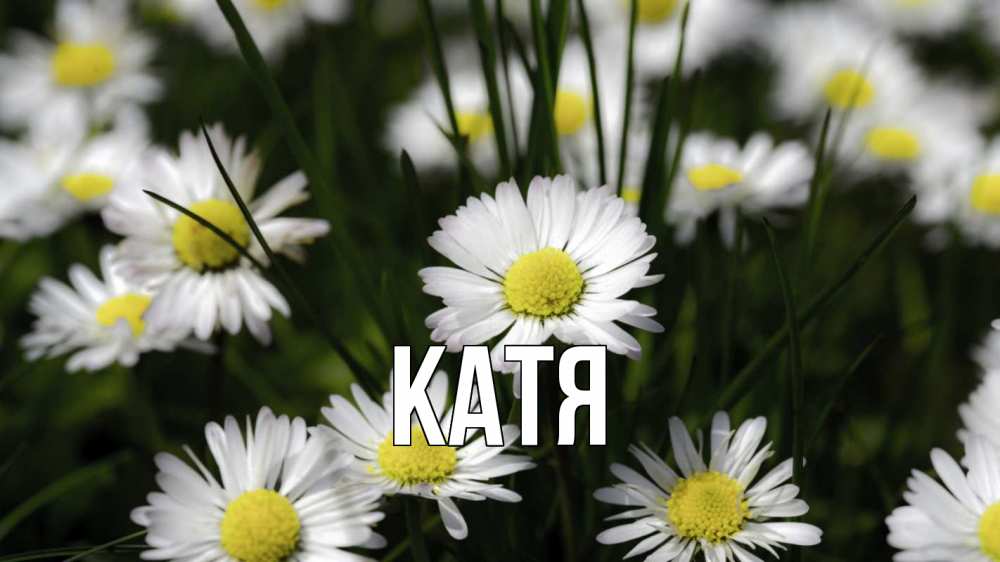 Картинка  с именем , Катя