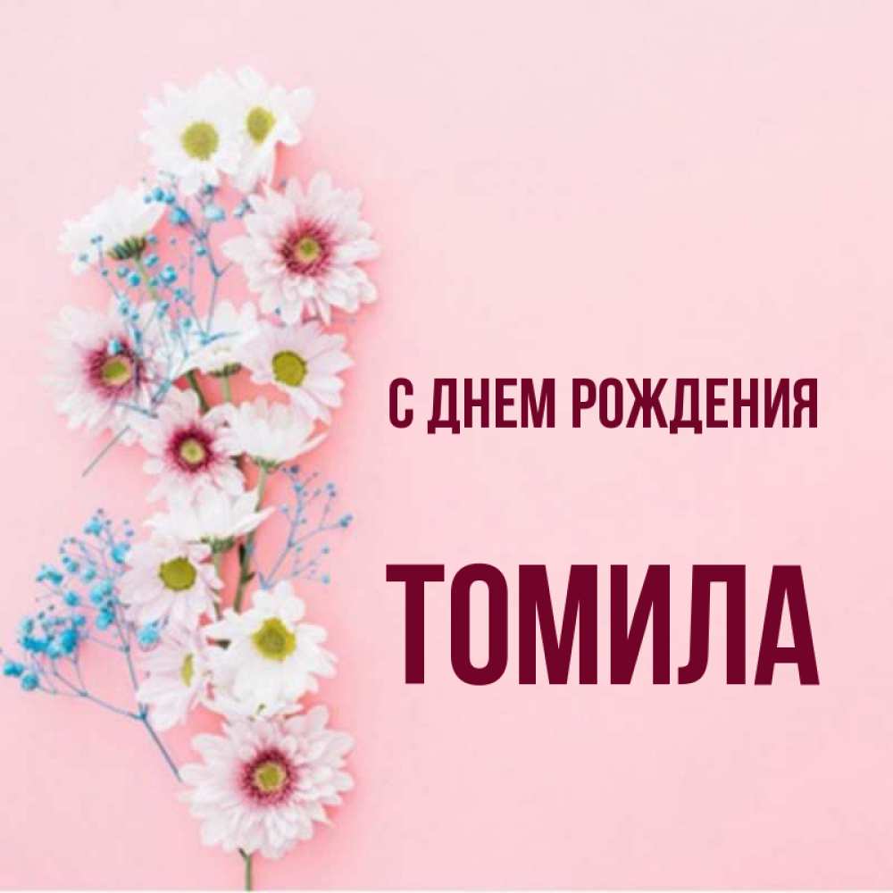 Томило имя. Привет даша. Тамилла имя что означает. Привет даша картинки прикольные. Лилия имя.