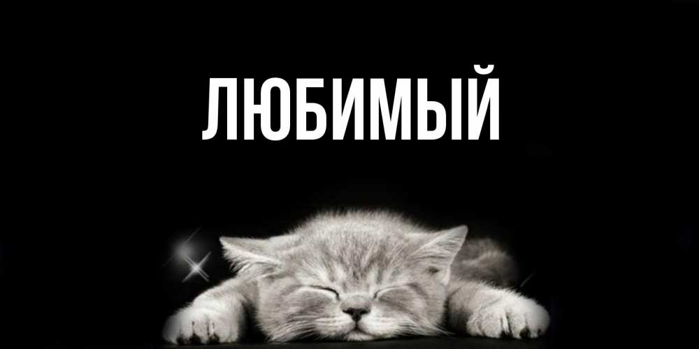 Открытка на каждый день с именем, Любимый Главная спящий котик Прикольная открытка с пожеланием онлайн скачать бесплатно 
