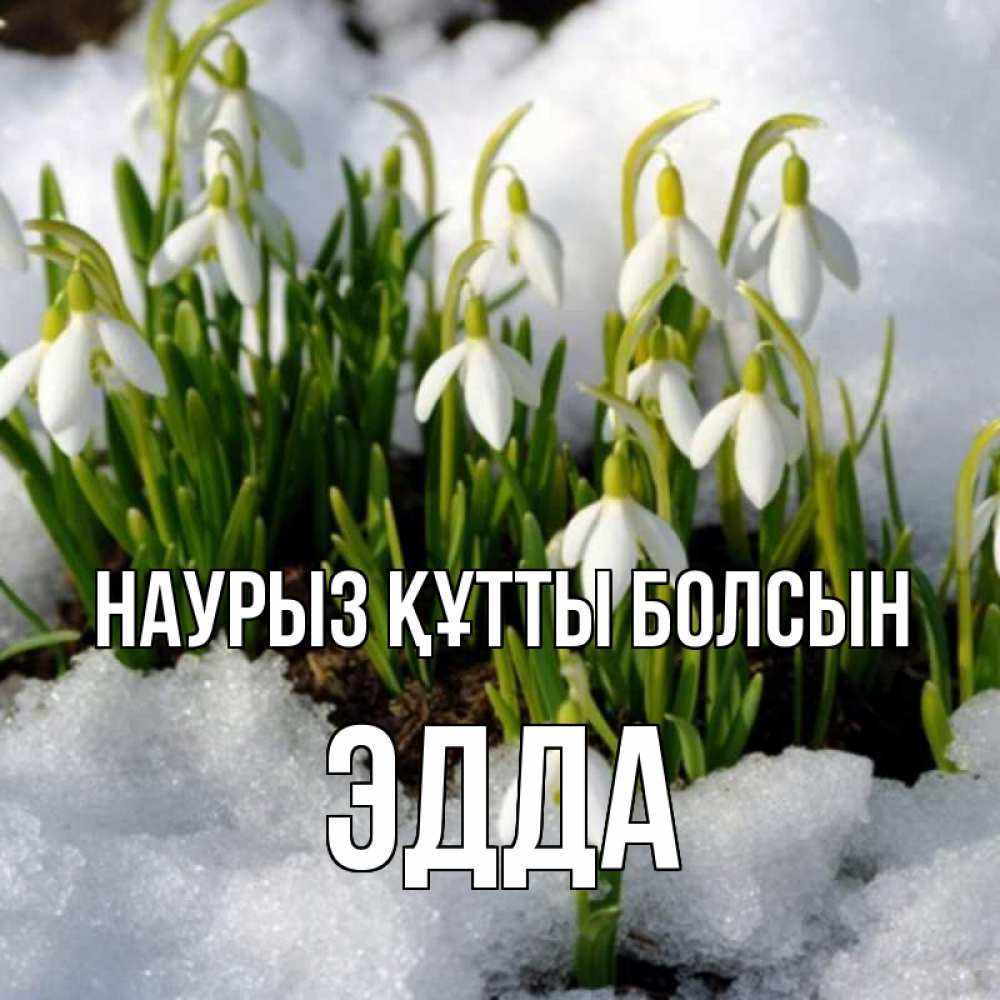 Открытка на каждый день с именем, Эдда Наурыз құтты болсын цветы весенние Прикольная открытка с пожеланием онлайн скачать бесплатно 
