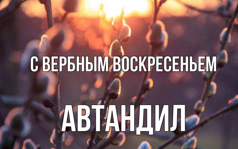 Открытка на каждый день с именем, Автандил С вербным воскресеньем верба Прикольная открытка с пожеланием онлайн скачать бесплатно 