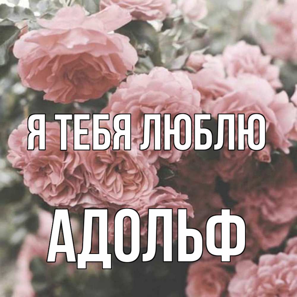 Открытка на каждый день с именем, Адольф Я тебя люблю розы 3 Прикольная открытка с пожеланием онлайн скачать бесплатно 