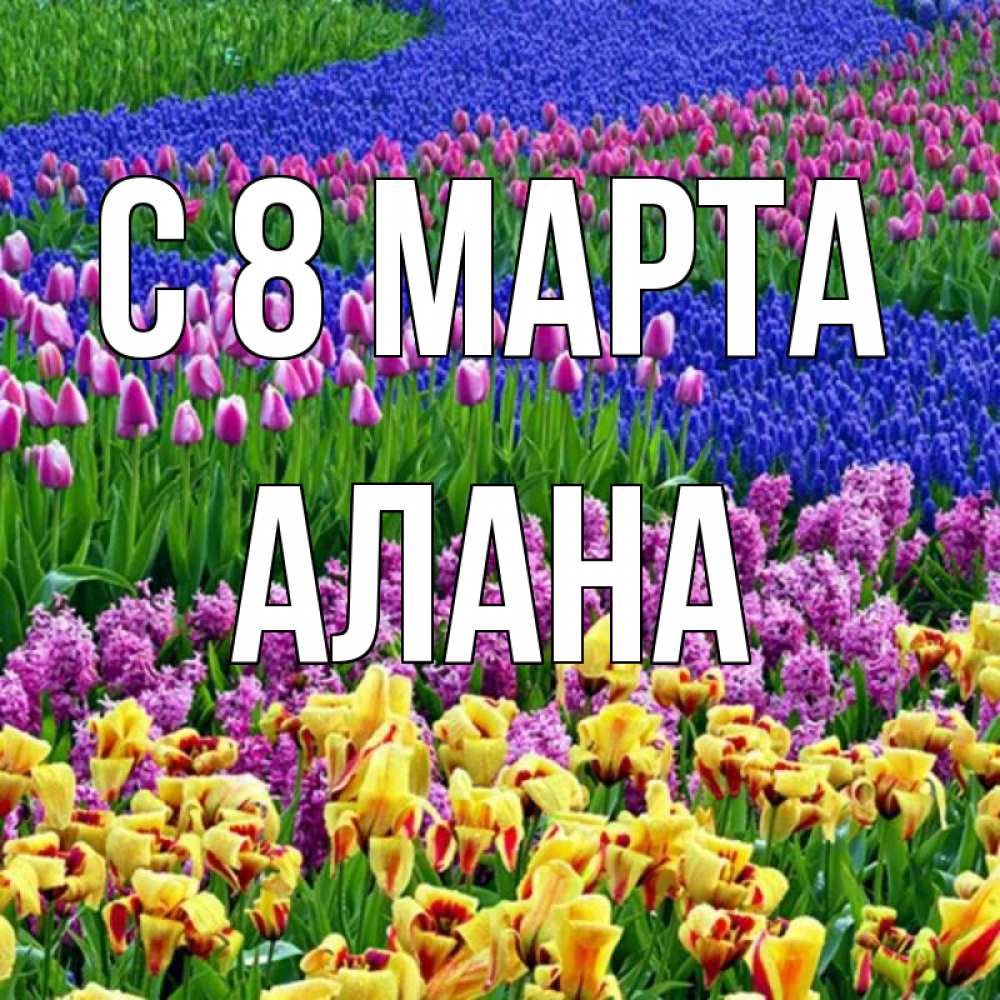 Открытка на каждый день с именем, Алана С 8 МАРТА цветы Прикольная открытка с пожеланием онлайн скачать бесплатно 