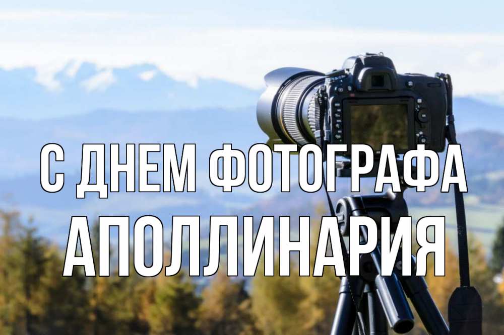 Открытка на каждый день с именем, Аполлинария С днем фотографа с днем фотографа Прикольная открытка с пожеланием онлайн скачать бесплатно 