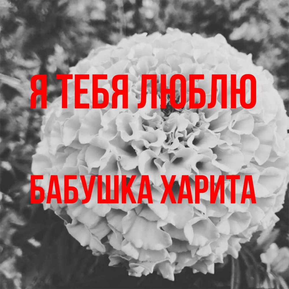 Открытка на каждый день с именем, Бабушка-Харита Я тебя люблю подпись Прикольная открытка с пожеланием онлайн скачать бесплатно 