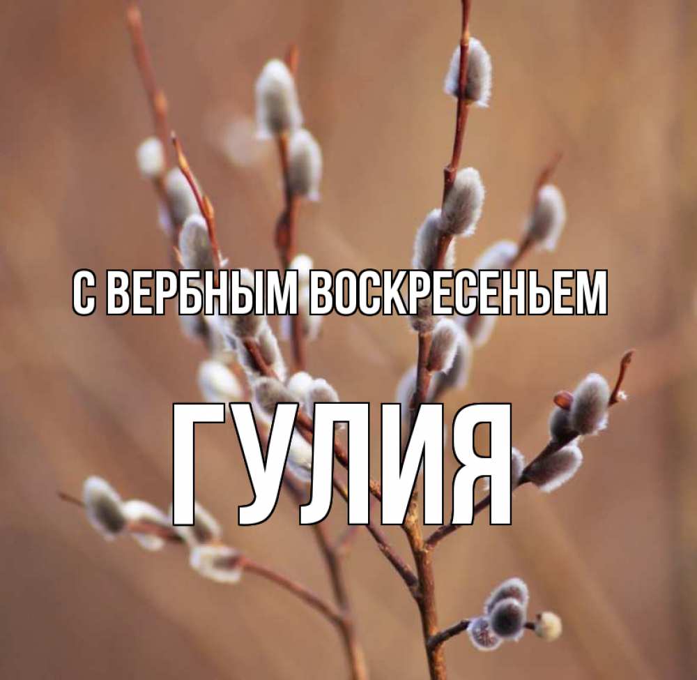 Открытка на каждый день с именем, Гулия С вербным воскресеньем верба Прикольная открытка с пожеланием онлайн скачать бесплатно 