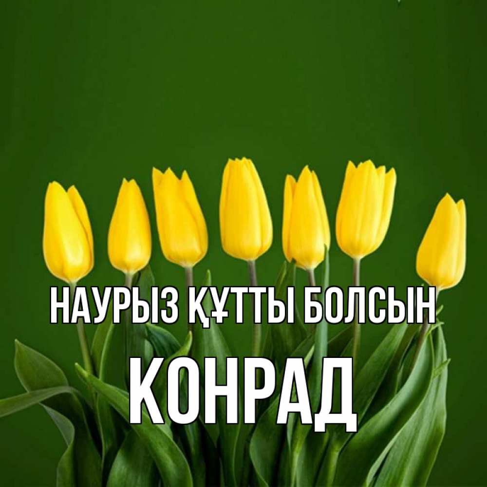 Открытка на каждый день с именем, Конрад Наурыз құтты болсын желтого цвета 3 Прикольная открытка с пожеланием онлайн скачать бесплатно 