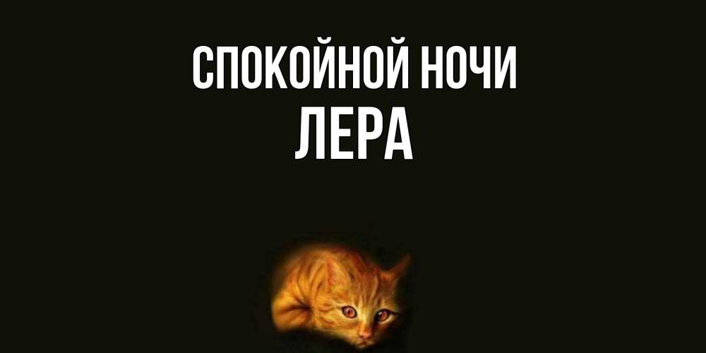 Открытка на каждый день с именем, Лера Спокойной ночи кот Прикольная открытка с пожеланием онлайн скачать бесплатно 