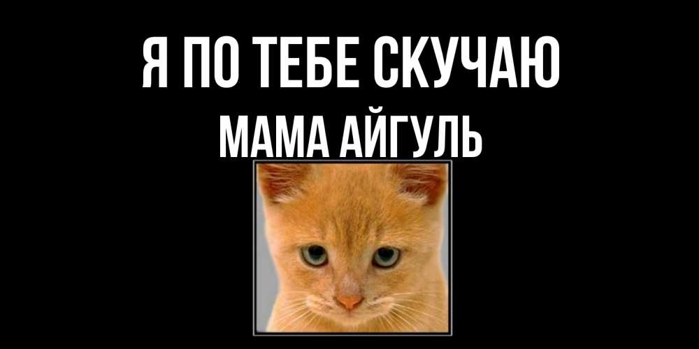 Открытка на каждый день с именем, Мама-Айгуль Я по тебе скучаю открытки рыжий котенок скучает по тебе Прикольная открытка с пожеланием онлайн скачать бесплатно 