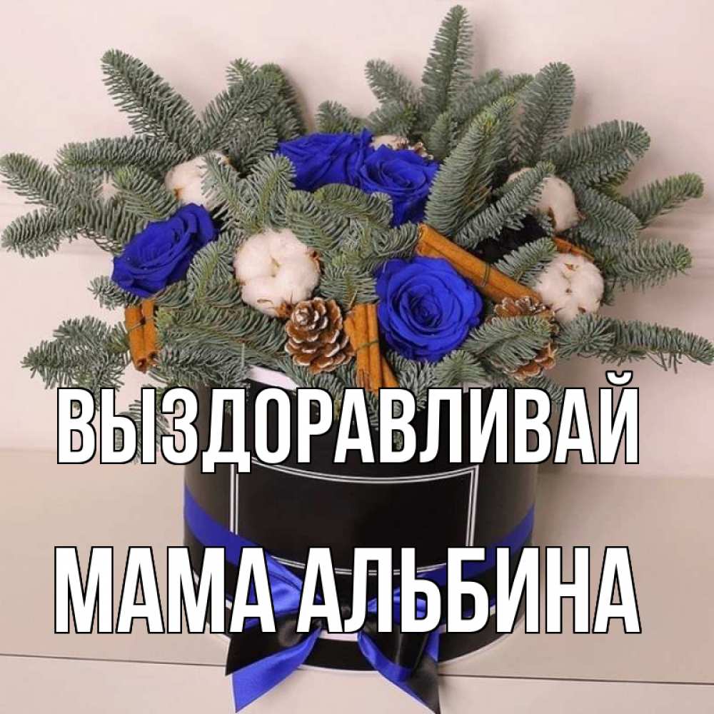 Открытка на каждый день с именем, Мама-Альбина Выздоравливай короче кто то загрузил эти шишки Прикольная открытка с пожеланием онлайн скачать бесплатно 