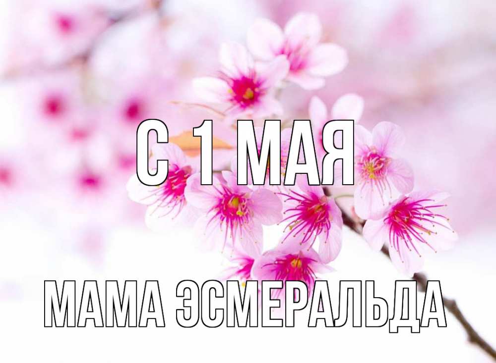 Открытка на каждый день с именем, Мама-Эсмеральда С 1 мая С 1 мая 2 Прикольная открытка с пожеланием онлайн скачать бесплатно 