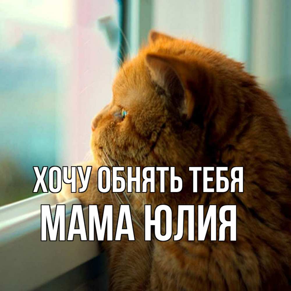 Открытка на каждый день с именем, Мама-Юлия Хочу обнять тебя большой огромный рыжий котяра Прикольная открытка с пожеланием онлайн скачать бесплатно 