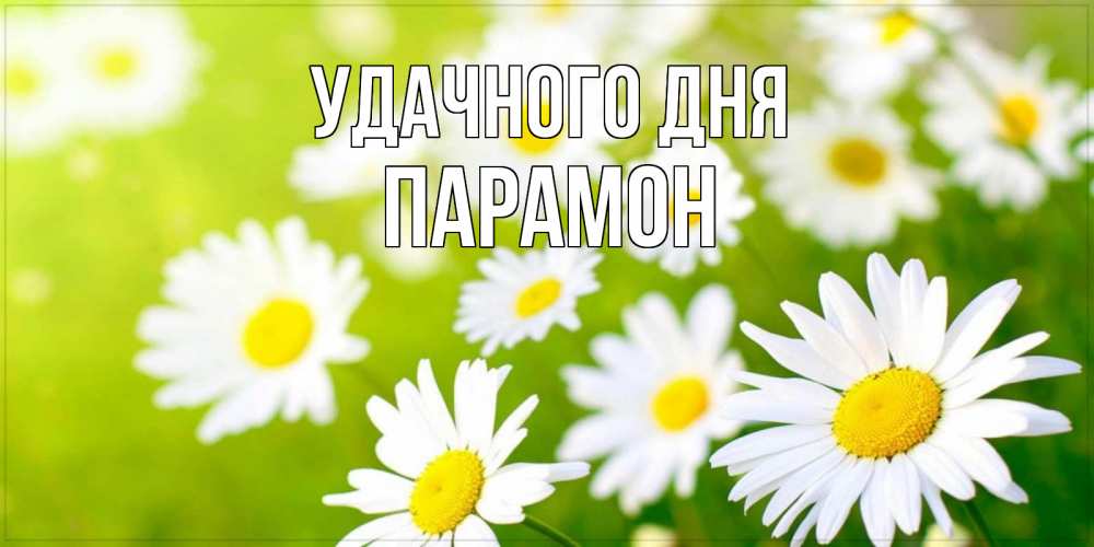 Открытка на каждый день с именем, Парамон Удачного дня открытка с ромашками на зеленом фоне Прикольная открытка с пожеланием онлайн скачать бесплатно 