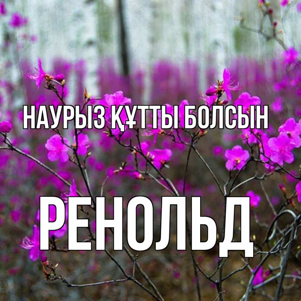 Открытка на каждый день с именем, Ренольд Наурыз құтты болсын дикие цветы Прикольная открытка с пожеланием онлайн скачать бесплатно 