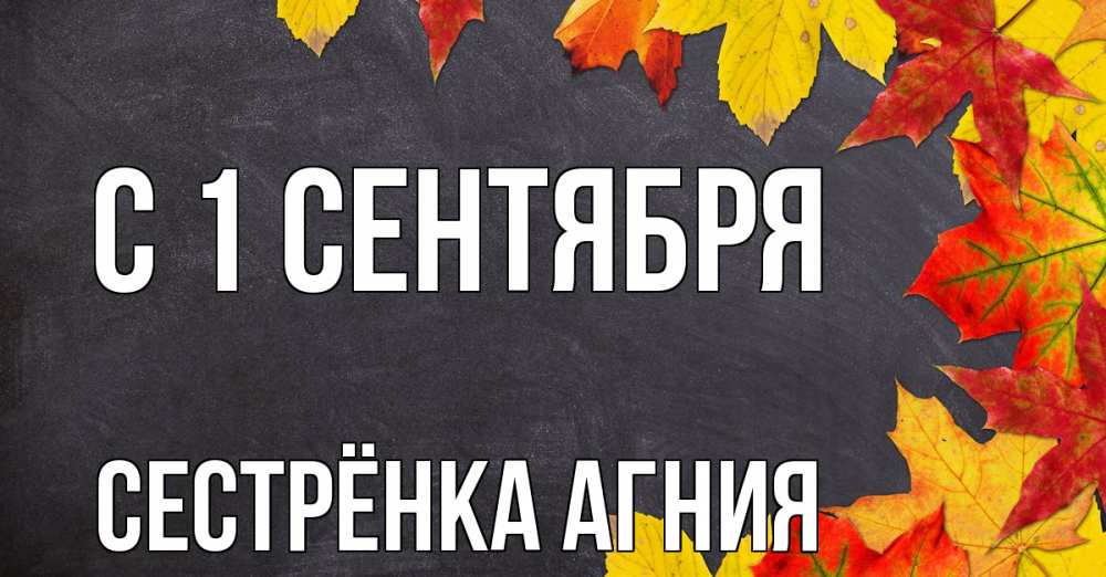Открытка на каждый день с именем, Сестрёнка-Агния С 1 сентября с днем знаний Прикольная открытка с пожеланием онлайн скачать бесплатно 
