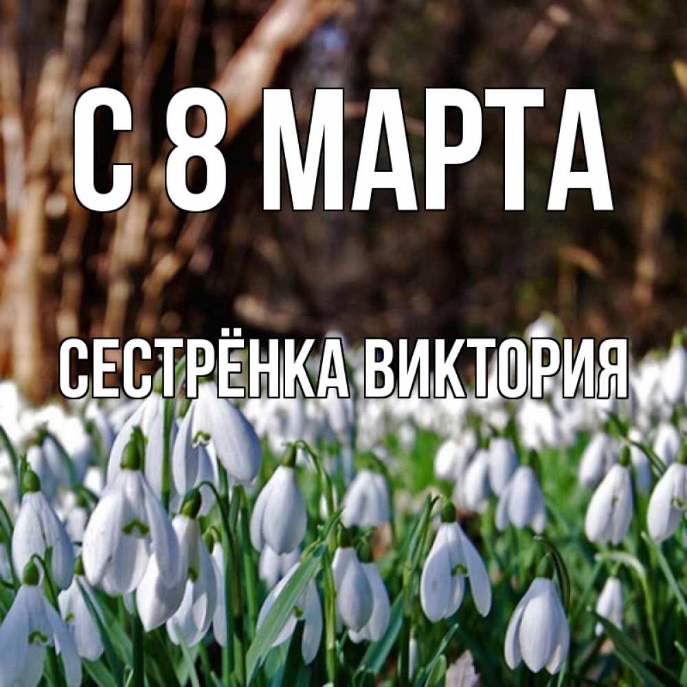 Открытка на каждый день с именем, Сестрёнка-Виктория С 8 МАРТА с подснежниками 1 Прикольная открытка с пожеланием онлайн скачать бесплатно 
