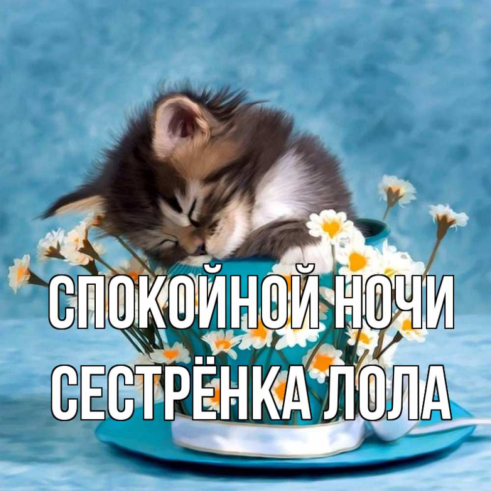 Открытка на каждый день с именем, Сестрёнка-Лола Спокойной ночи котенок спит в кружке с блюдцем Прикольная открытка с пожеланием онлайн скачать бесплатно 