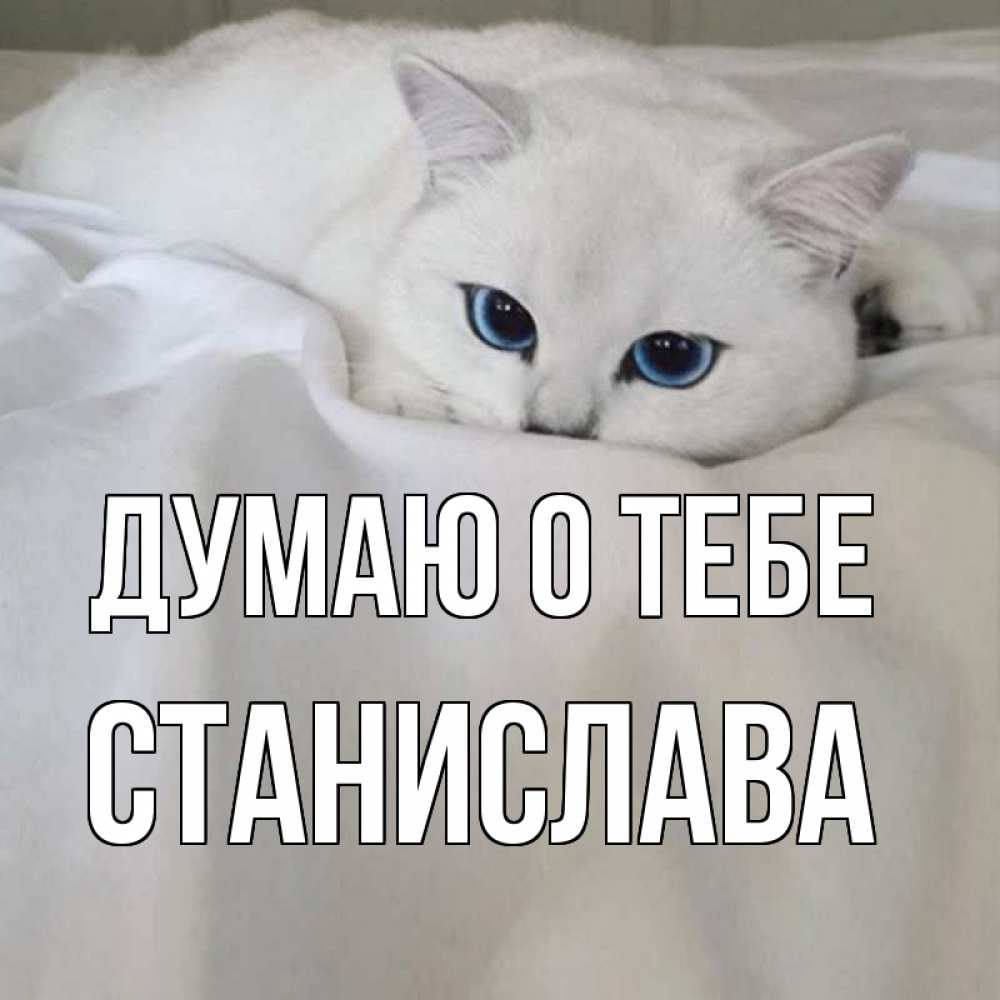 Открытка на каждый день с именем, Станислава Думаю о тебе я очень по тебе скучаю и тоскую Прикольная открытка с пожеланием онлайн скачать бесплатно 