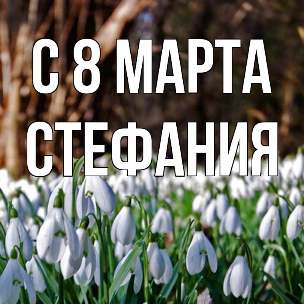 Открытка на каждый день с именем, Стефания С 8 МАРТА с подснежниками 1 Прикольная открытка с пожеланием онлайн скачать бесплатно 