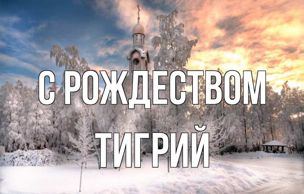 Открытка на каждый день с именем, Тигрий С рождеством лес, зима 2 Прикольная открытка с пожеланием онлайн скачать бесплатно 