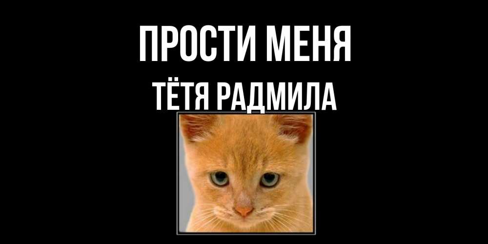 Открытка на каждый день с именем, Тётя-Радмила Прости меня рыжий грустный кот просит прощения Прикольная открытка с пожеланием онлайн скачать бесплатно 