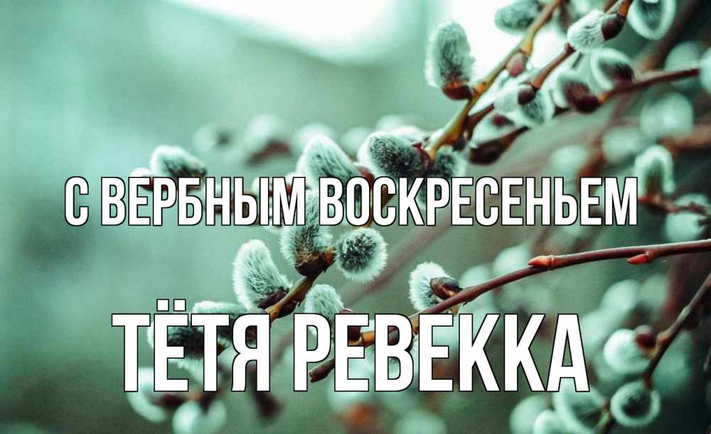 Открытка на каждый день с именем, Тётя-Ревекка С вербным воскресеньем верба Прикольная открытка с пожеланием онлайн скачать бесплатно 