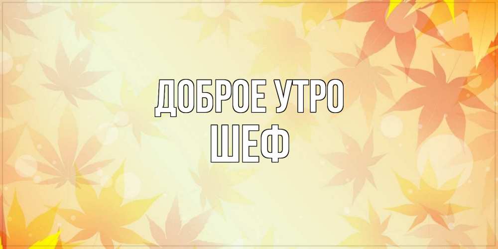 Открытка на каждый день с именем, Шеф Доброе утро доброе утро Прикольная открытка с пожеланием онлайн скачать бесплатно 