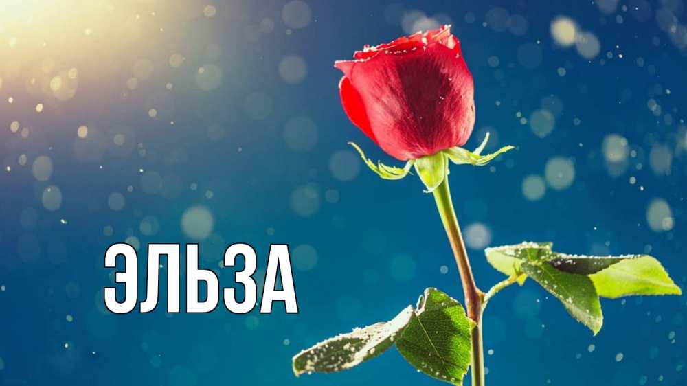 Открытка на каждый день с именем, Эльза Главная с днем знаний Прикольная открытка с пожеланием онлайн скачать бесплатно 