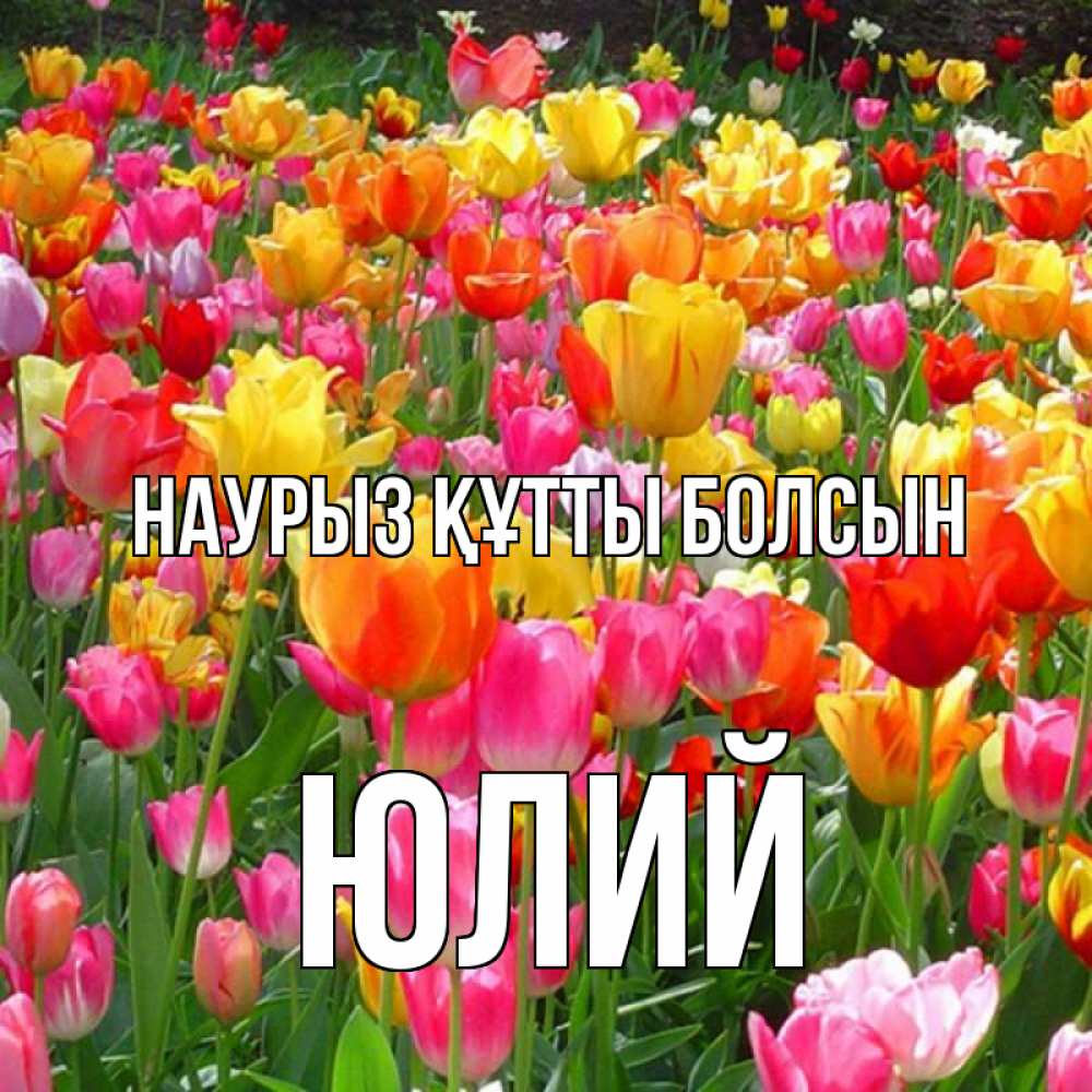 Открытка на каждый день с именем, Юлий Наурыз құтты болсын на наурыз  ура ура Прикольная открытка с пожеланием онлайн скачать бесплатно 