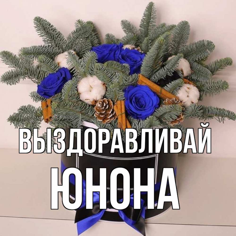 Открытка на каждый день с именем, Юнона Выздоравливай короче кто то загрузил эти шишки Прикольная открытка с пожеланием онлайн скачать бесплатно 